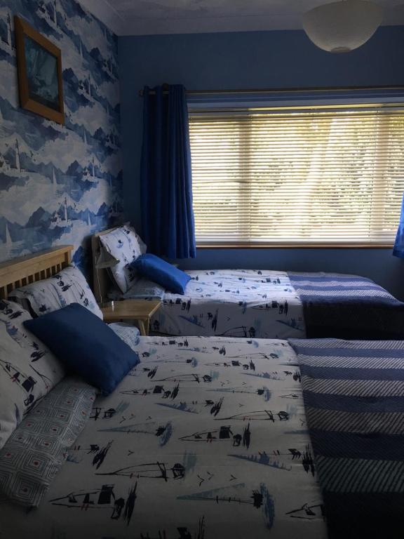 Blue Cedar Lodge room 1