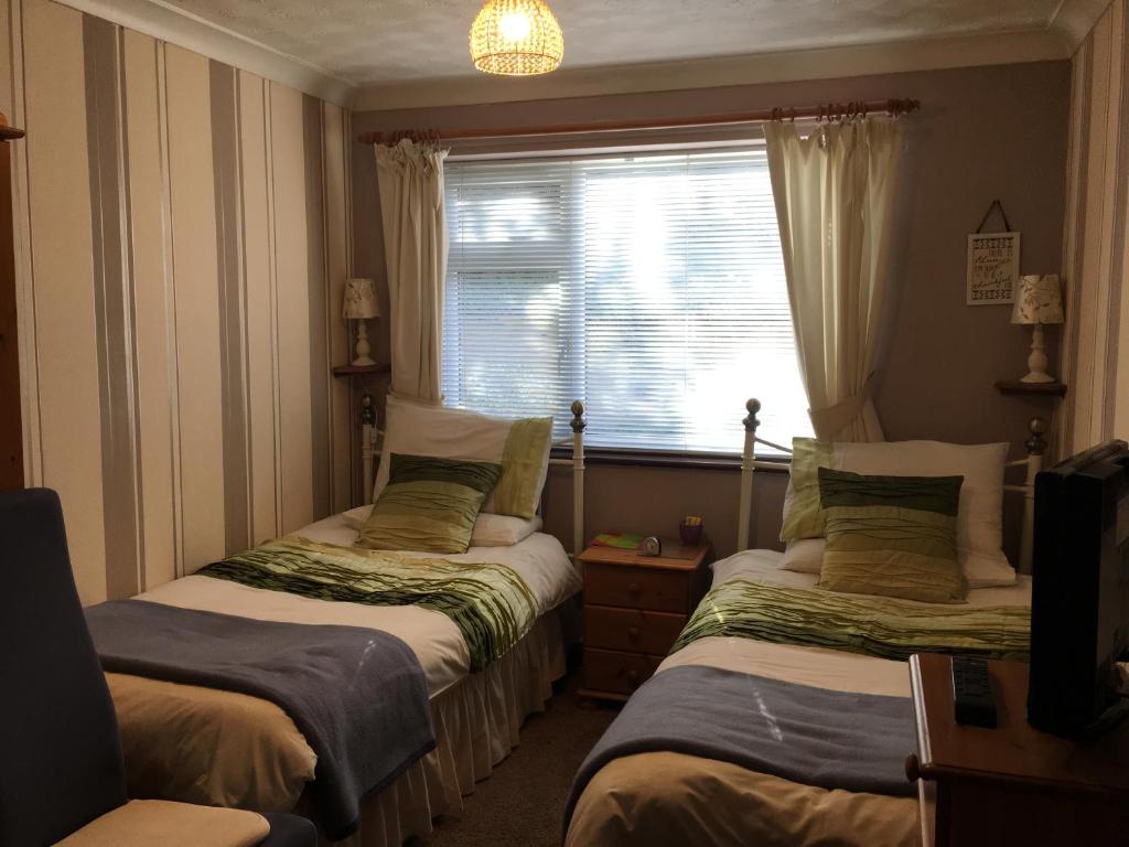 Blue Cedar Lodge room 2